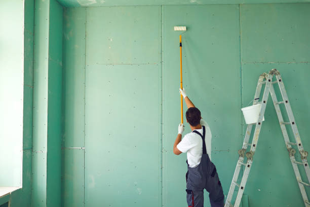 Best Emergency Mold Remediation  in Arthurdale, WV