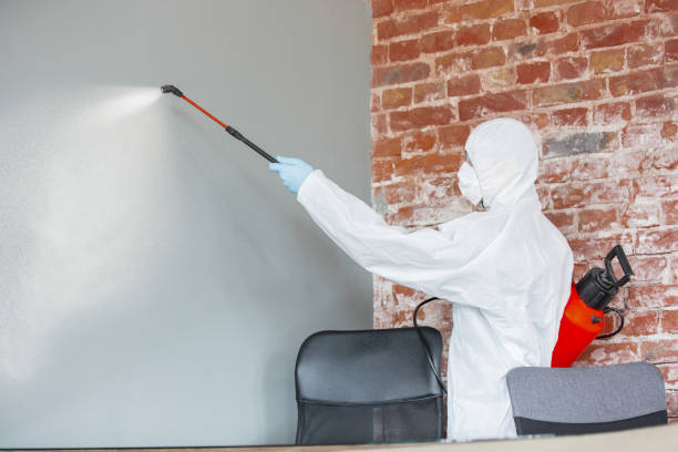 Best HVAC Mold Inspection and Cleaning  in Arthurdale, WV