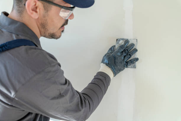 Best Post-Construction Mold Inspection  in Arthurdale, WV