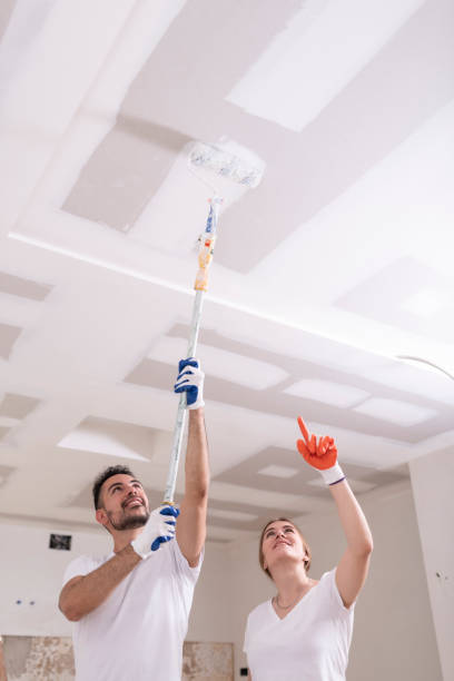 Best Basement Mold Removal  in Arthurdale, WV
