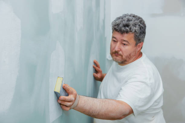 Best Black Mold Removal  in Arthurdale, WV