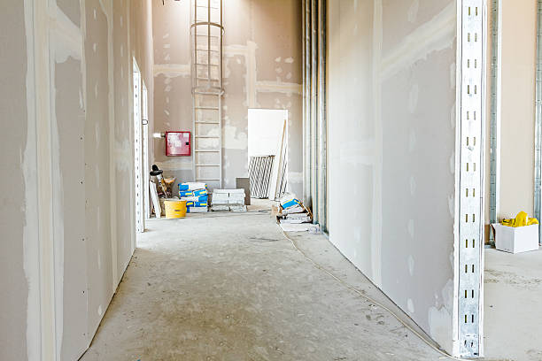 Best Mold Odor Removal Services  in Arthurdale, WV