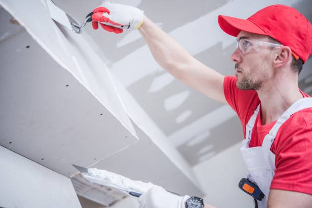 Best Real Estate Mold Inspection  in Arthurdale, WV